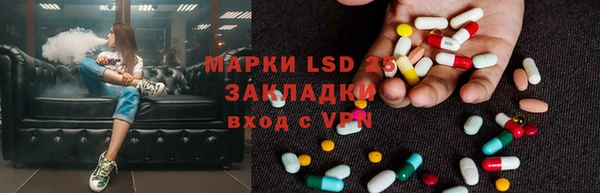 индика Белоозёрский