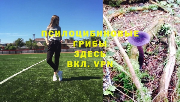 метадон Осташков