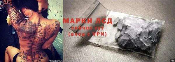 индика Белоозёрский